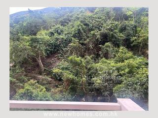 司徒拔道 - 嘉苑 05