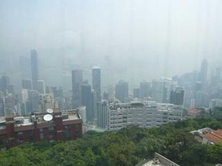 The Peak - 56 Plantation Road 03