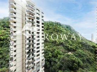 Mid Levels Central - Tregunter Tower 3 02