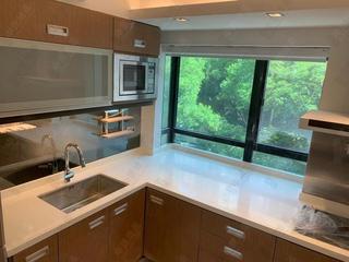 Mid Levels West - Wilton Place 13