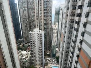 中半山 - 敦皓 14