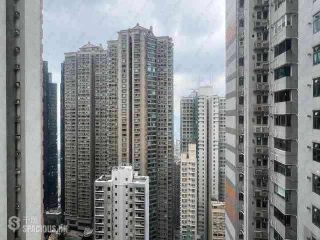 中半山 - 敦皓 15