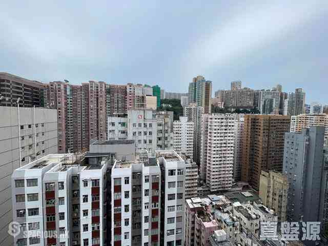 北角 - 港濤軒 10