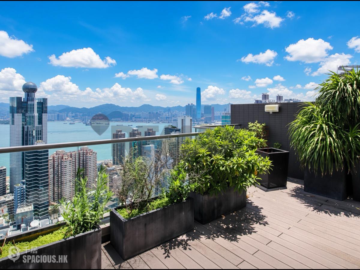 Sai Ying Pun - The Summa 01