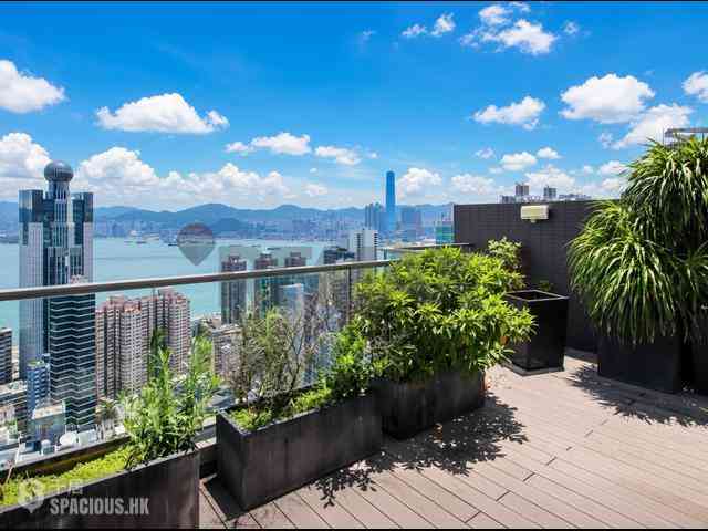 Sai Ying Pun - The Summa 01
