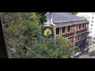 Poho - 3, U Lam Terrace 08