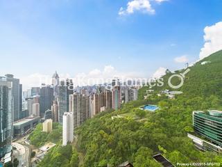 東半山 - 御花园 02