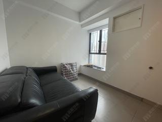 Poho - Rich View Terrace 03