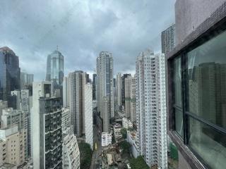 Poho - Rich View Terrace 08