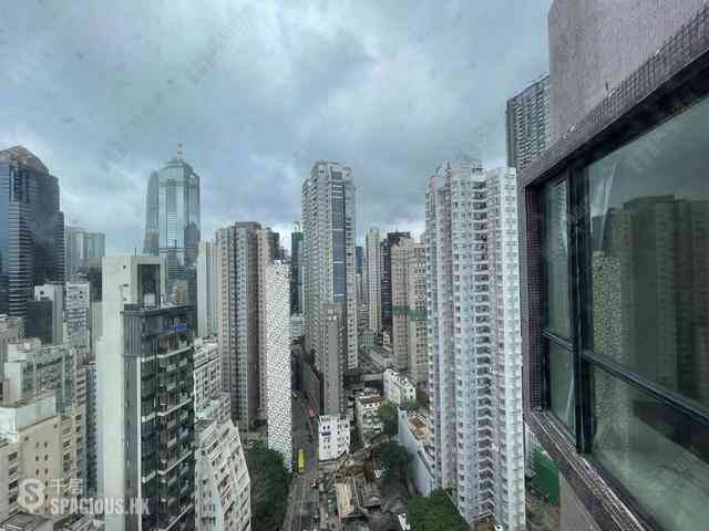 Poho - Rich View Terrace 08