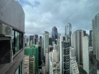 Poho - Rich View Terrace 09