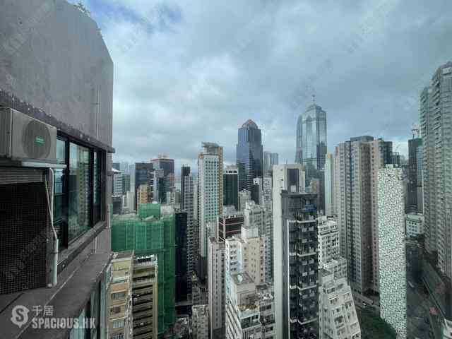 Poho - Rich View Terrace 09