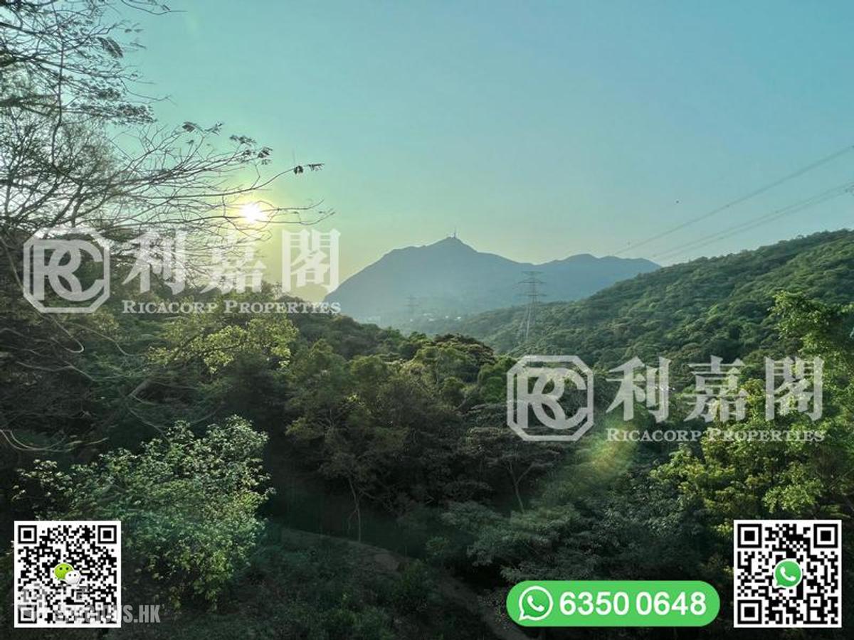 Clear Water Bay - Hillview Court 01