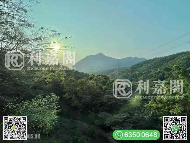 Clear Water Bay - Hillview Court 01