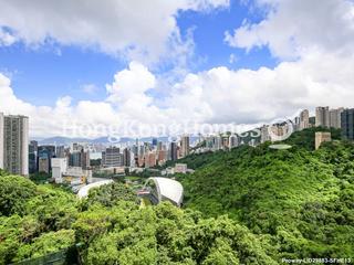 Happy Valley - Broadwood Park 02