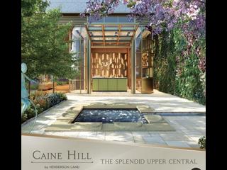 Soho - Caine Hill 07