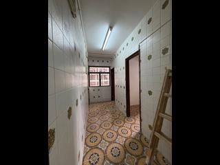 Sai Ying Pun - Western Garden 06