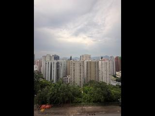 Sai Ying Pun - Western Garden 10