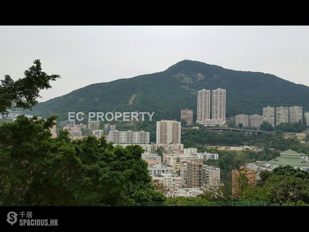 跑馬地 - 保祿大廈 01