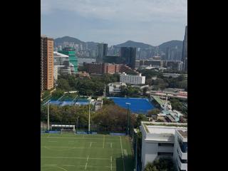 油麻地 - 君頤峰 13