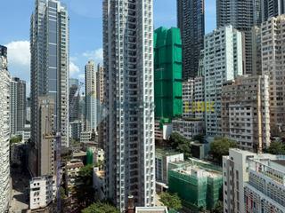 Poho - Rich View Terrace 06