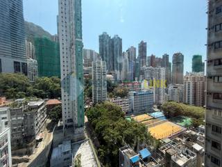 Poho - Rich View Terrace 11