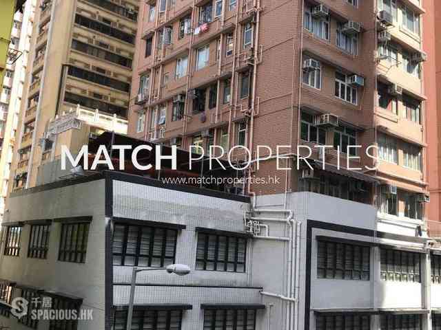 Poho - 东成楼 08