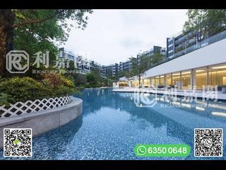 Clear Water Bay - Mount Pavilia 26