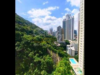 Mid Levels East - Bamboo Grove 06