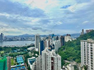 Causeway Bay - Illumination Terrace 11