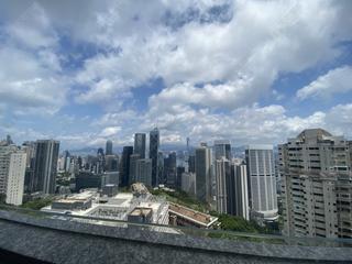 中半山 - 21 Borrett Road 14
