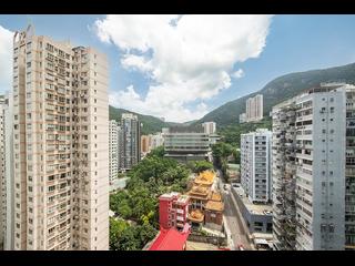 Happy Valley - The Aster (Resiglow) 10