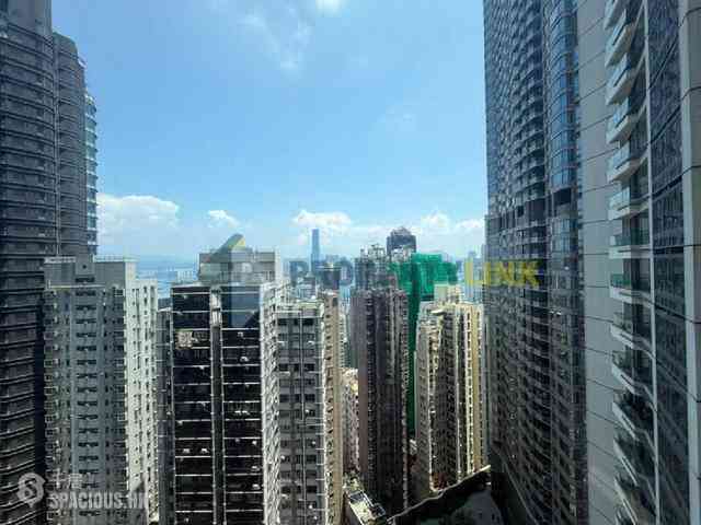 Mid Levels Central - Robinson Place 14