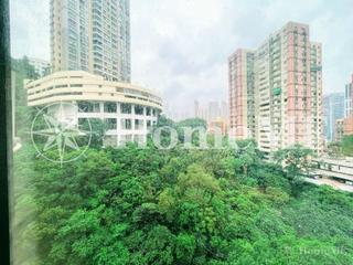 Tai Hang - 1, Tai Hang Road 06