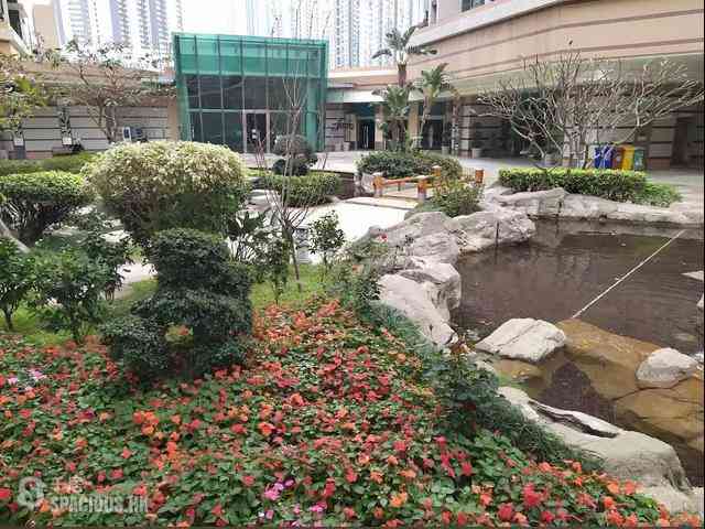 长沙湾 - 碧海蓝天6座 06