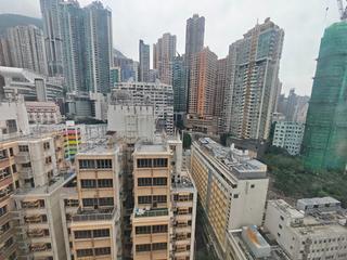 Poho - Tower 125 09