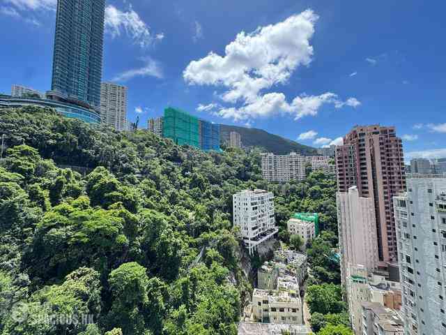 跑馬地 - 紀雲峰 03