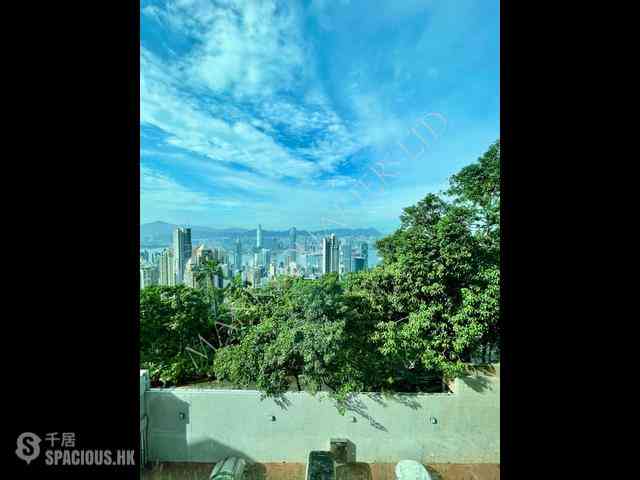 The Peak - Haking Mansions 09