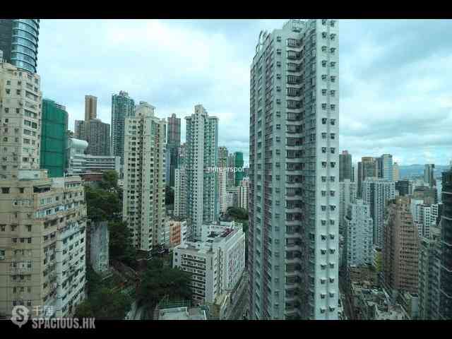 Soho - Grandview Garden 10