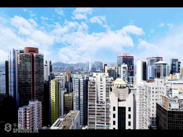 Poho - Tower 125 24