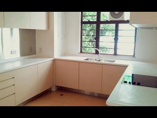 Pok Fu Lam - Pine Grove 02