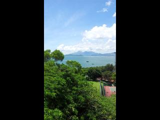 Pok Fu Lam - Pine Grove 08