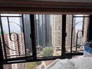 中半山 - 殷樺花園 09