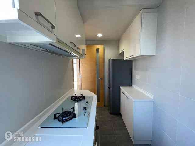 Sai Ying Pun - High Park 99 16