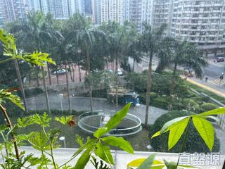 西湾河 - 逸涛湾 夏池轩 (2座) 07