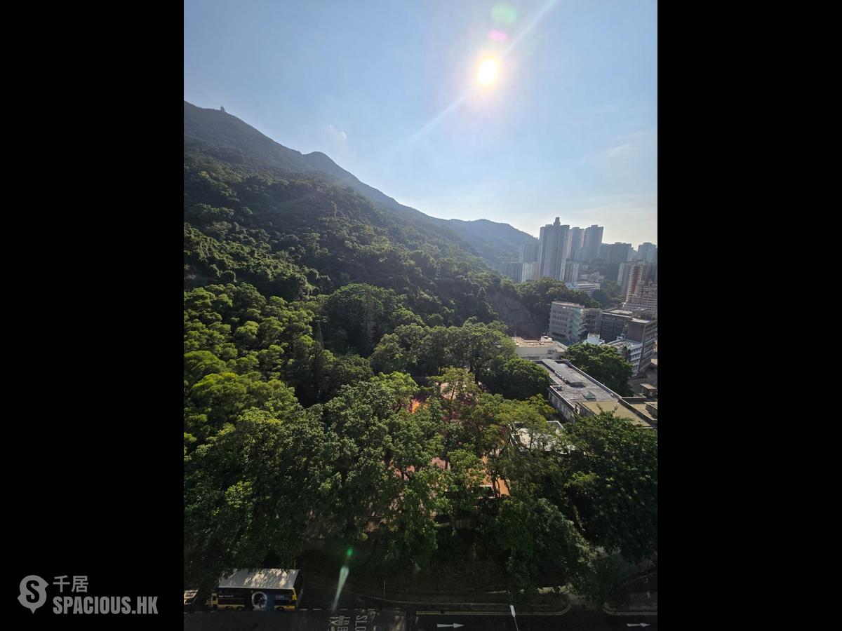 筲箕湾 - 香苑大厦 01