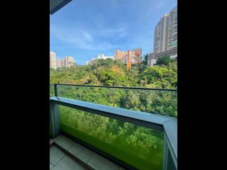 North Point - Lime Habitat 07