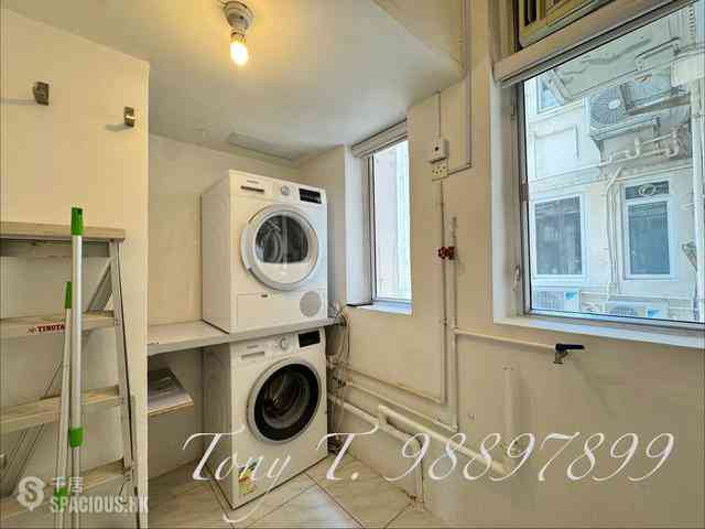 Mid Levels Central - Estella Court 09