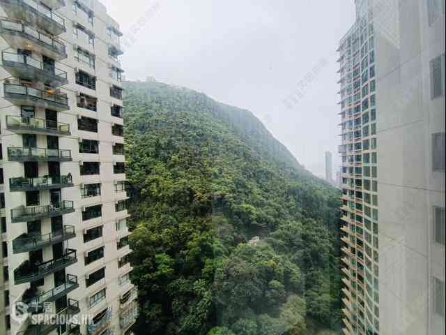 中半山 - 地利根德閣 05