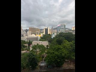湾仔 - 尚翘峰 02